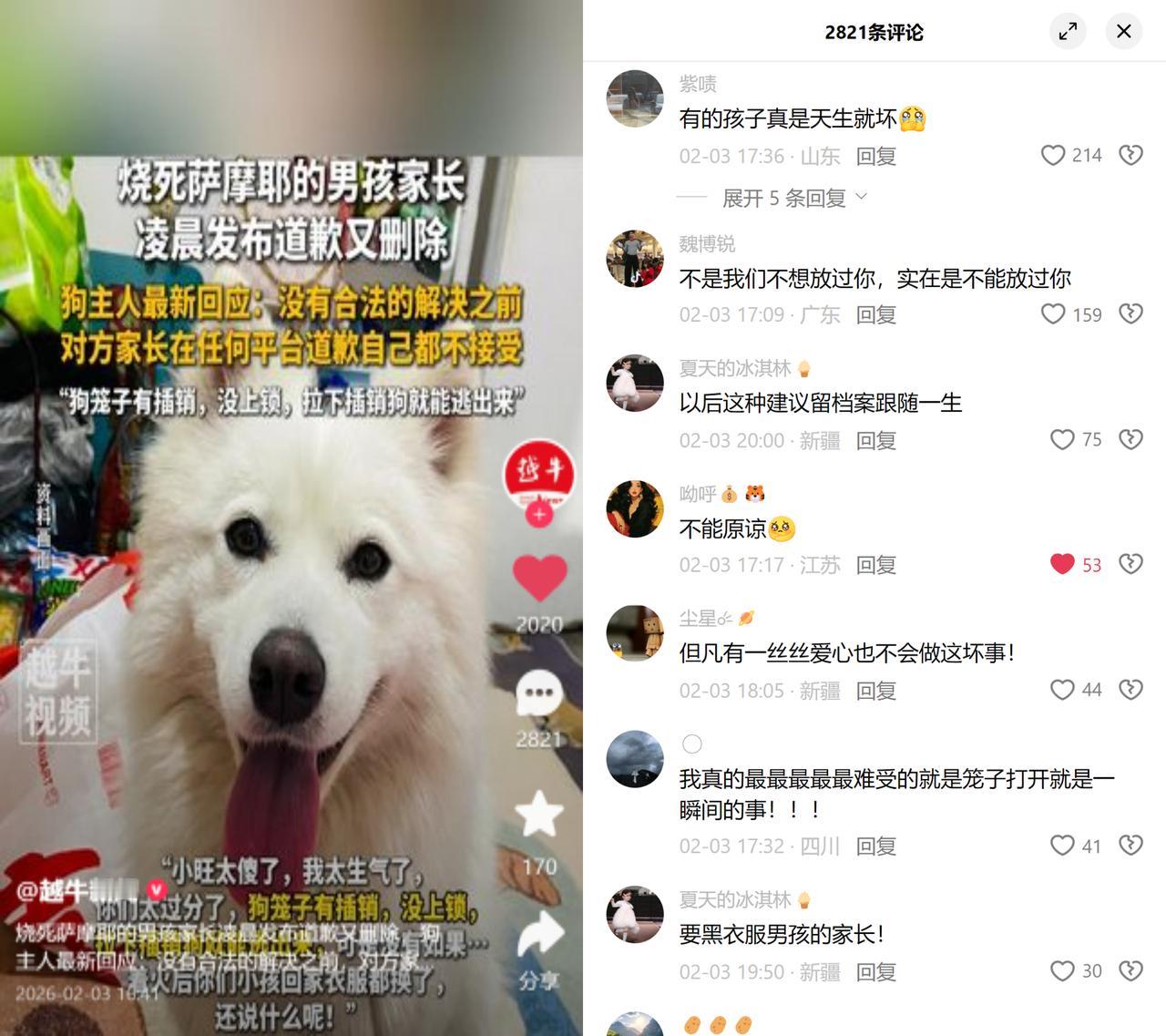 两男童用烟花烧死萨摩耶

笼门没插销，往下一拉狗就能逃，可它还是被活活烧死了