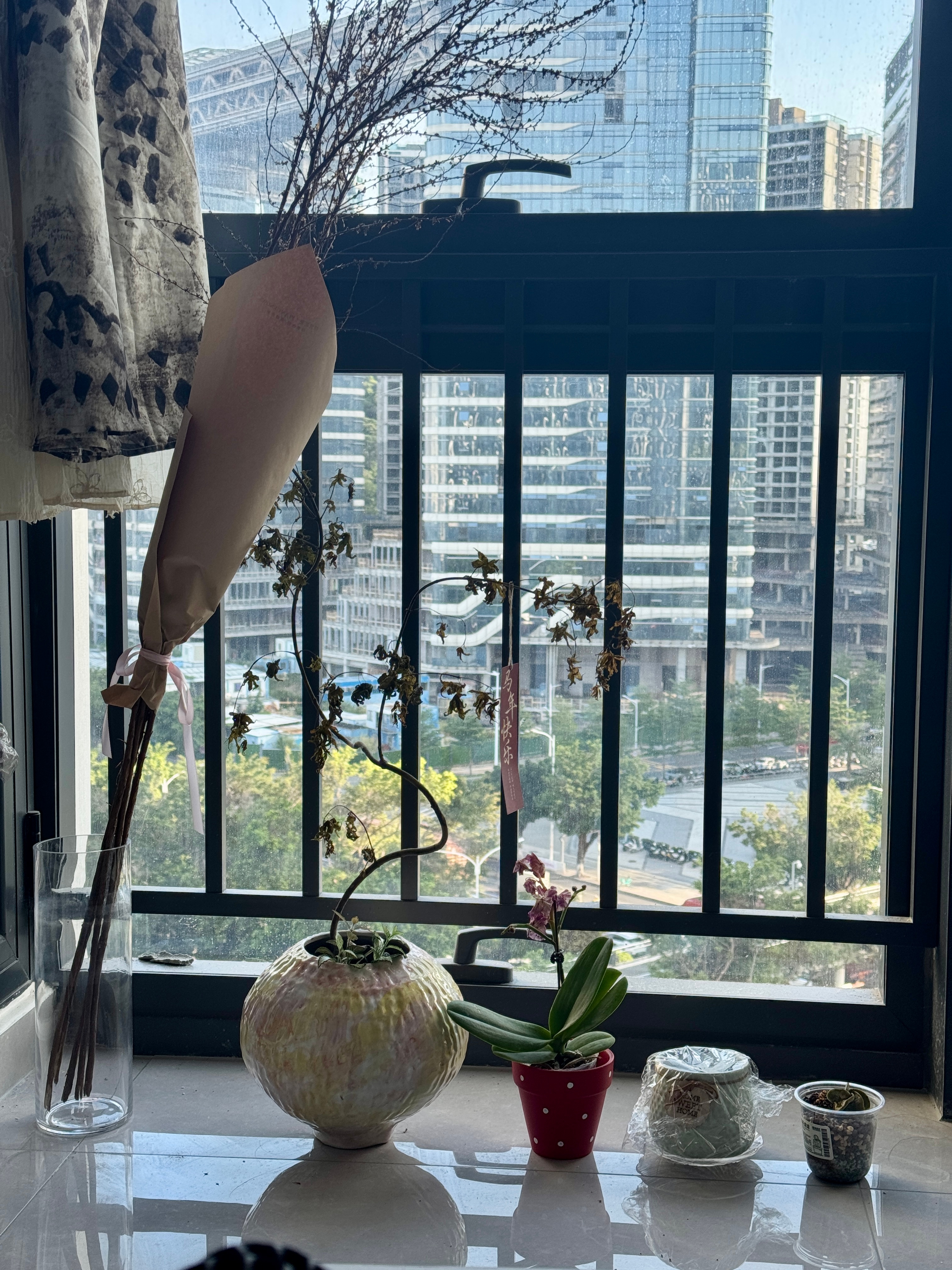 让我们为它们默哀…我再也不养花花草草了… 
