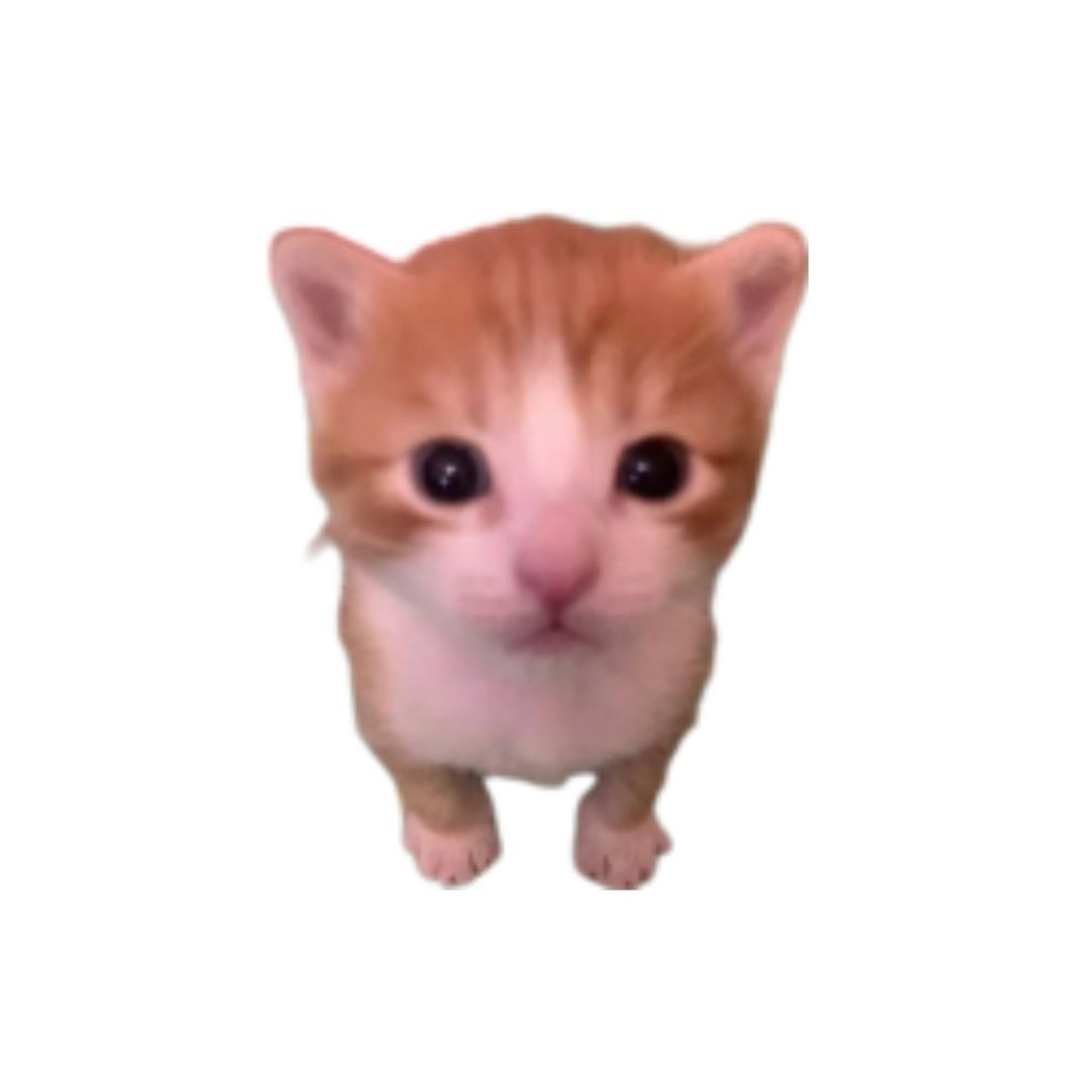想欣儿 