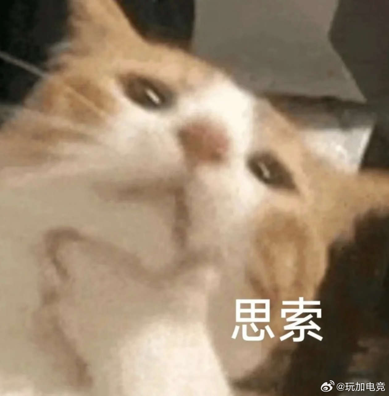 玩加夜话 玩儿的场次最多的英雄有多少把？英雄联盟