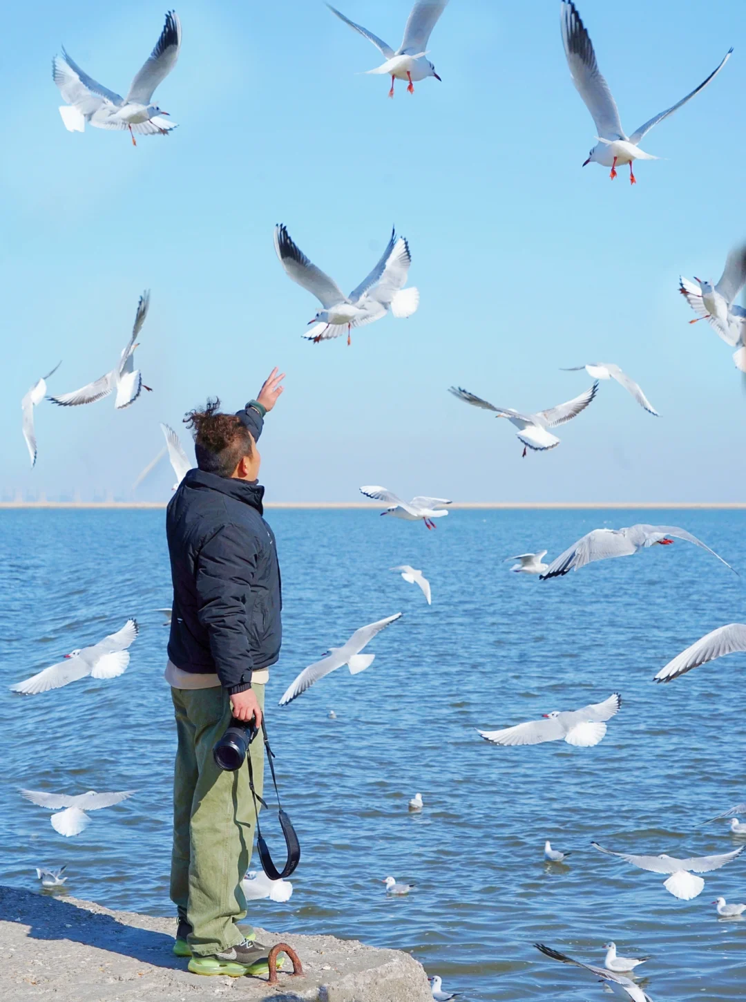 天津冬日海边🌊西伯利亚海鸥已就位❗️附攻略