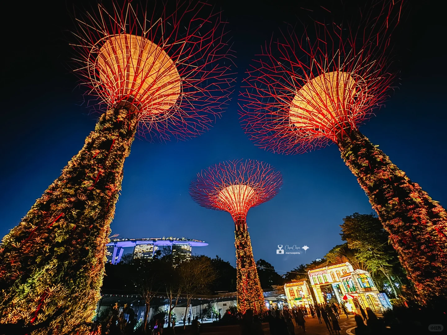我在新加坡看到了《阿凡达》的世界树｜新加坡