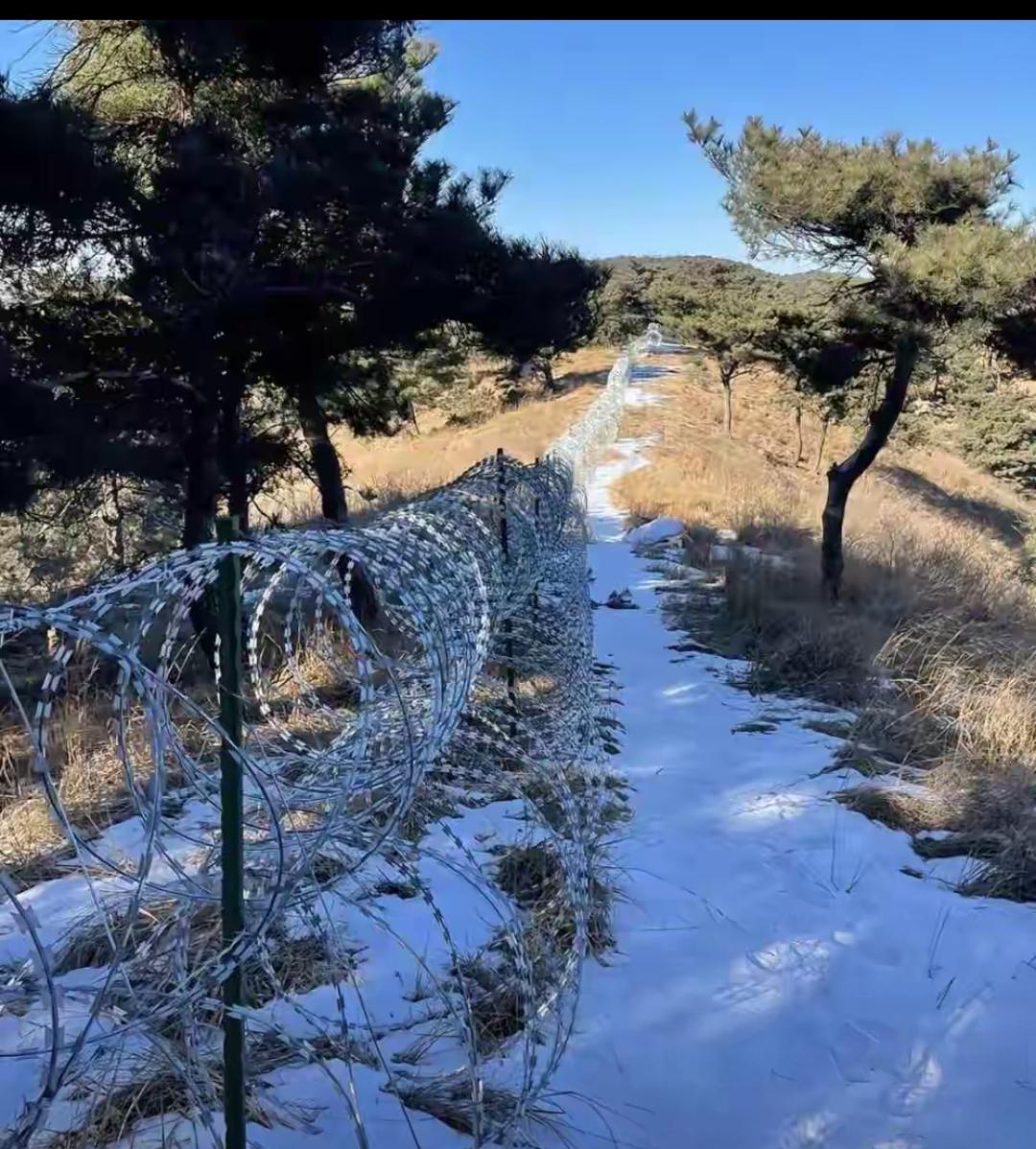 斥资两千多万铺设135公里刀片刺绳环绕泰山，比起铁丝网破坏山水观感、阻隔野生动物