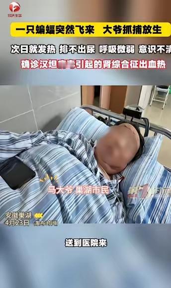 [月亮]“悲剧还是发生了！”近日，安徽巢湖，一位大爷发现家中进了只蝙蝠，他伸手就