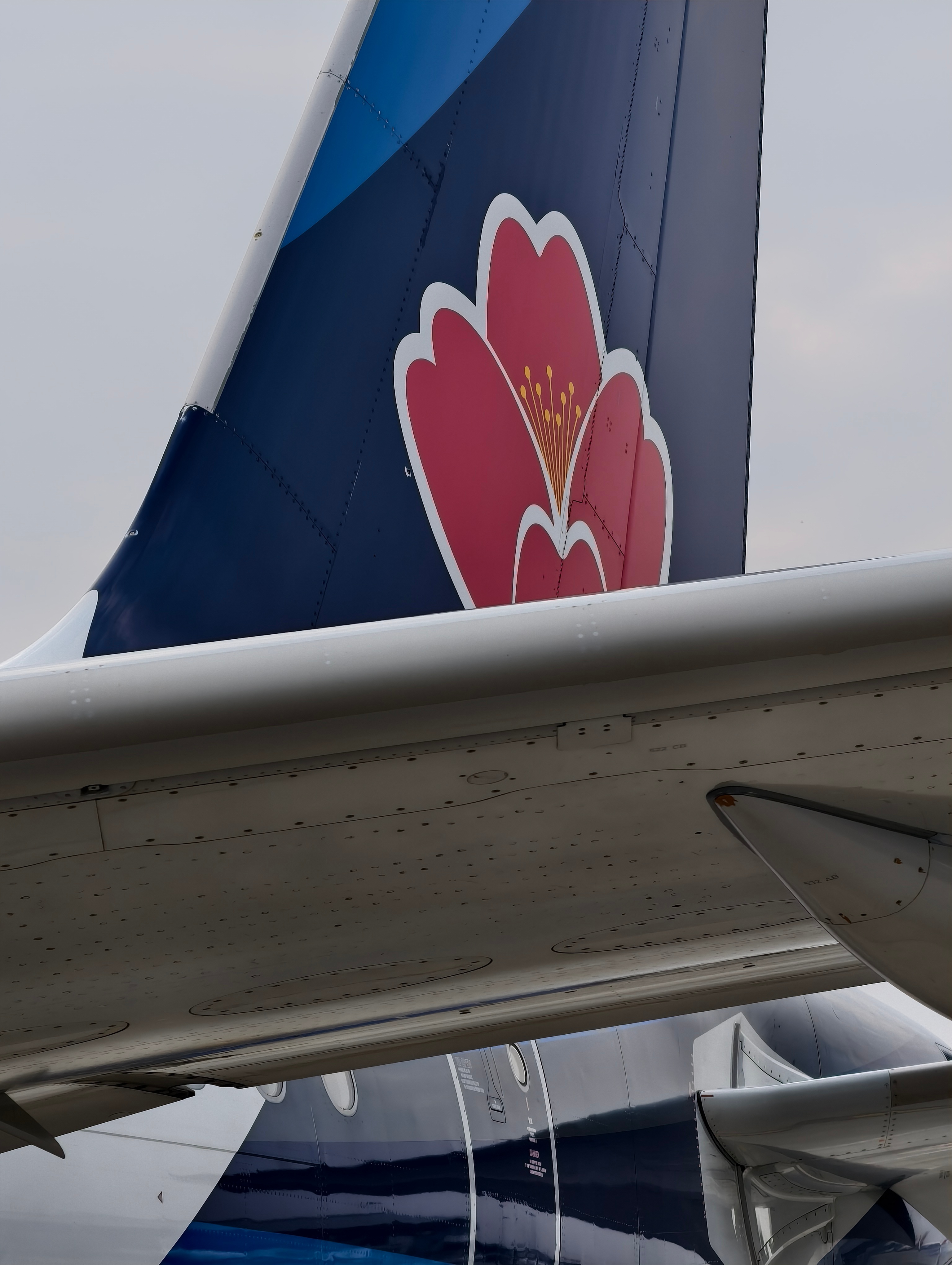 好像还是第一次坐青岛航空……  