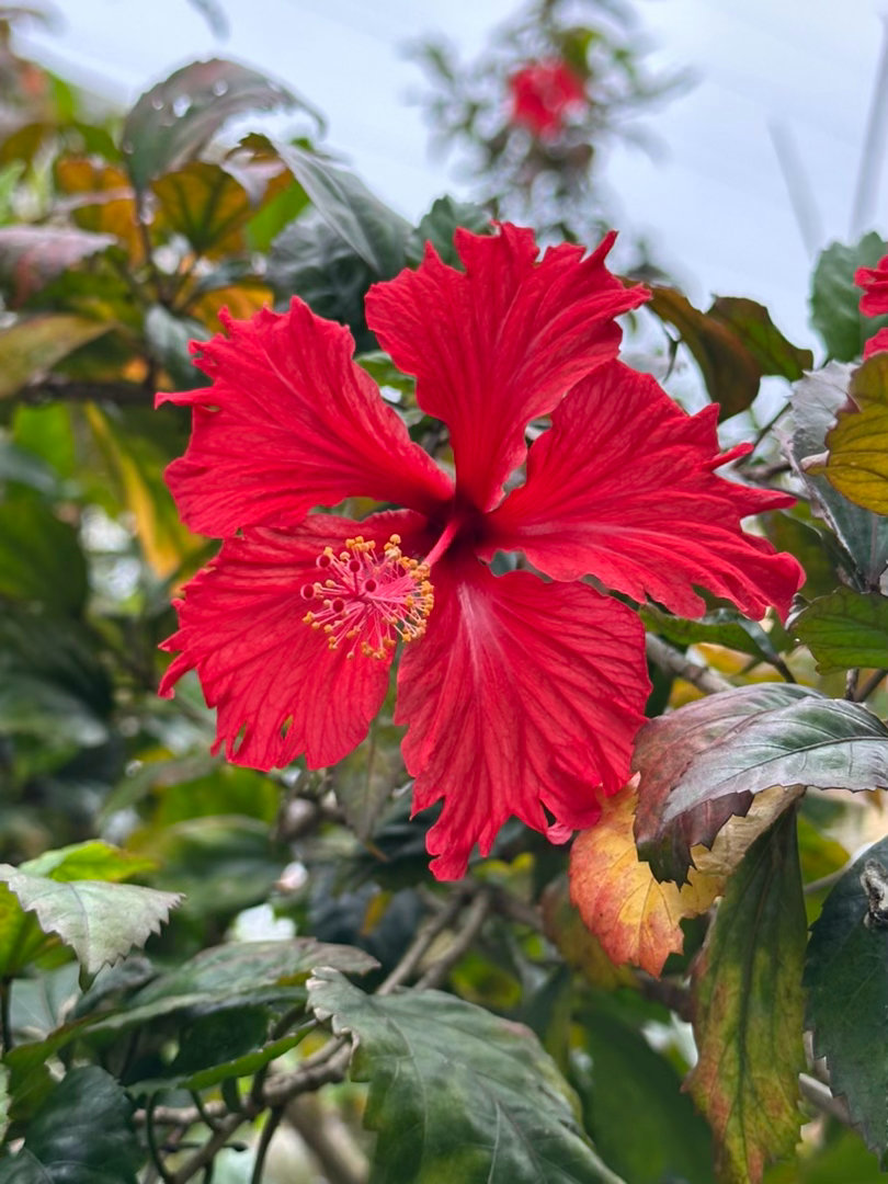 阳光信用  阳光信用 互动打卡 你们都是「太阳」。自己本身就是「太阳」。首先如此
