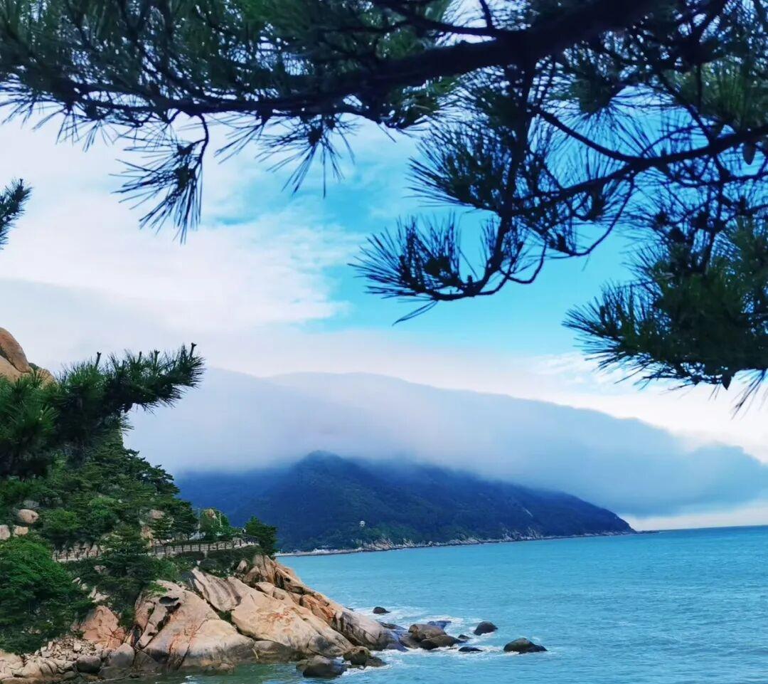 真心话茶局5月30日—6月1日连续三天，青岛崂山风景区向全国14周岁及以下小朋友