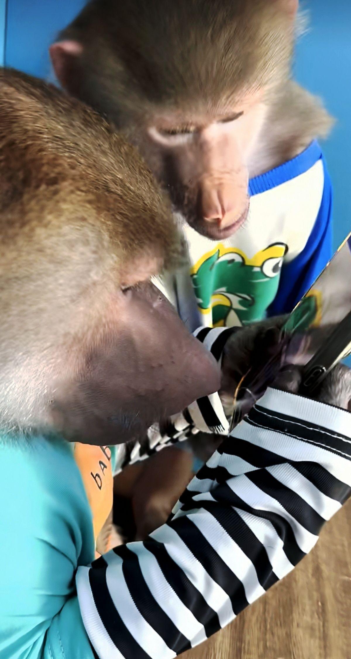 手机对面给你瞎评论的有可能还不如它俩……它们顶多是乱码，但网上很多是乱骂……