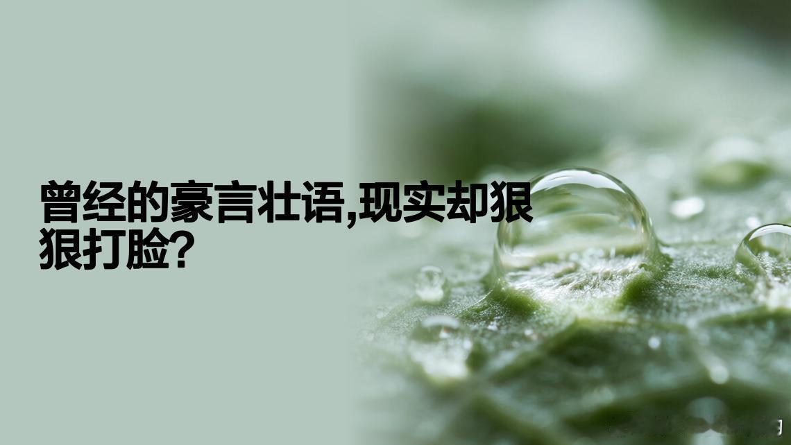 奔驰CEO警告没有燃油车的后果奔驰CEO警告欧盟慎重禁售新燃油车曾经的豪言壮语都