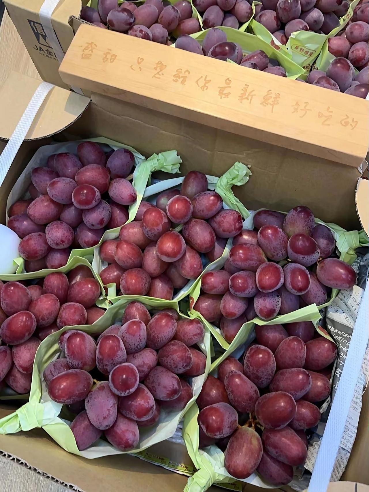 妃红提。每个品种都有特点，把真正的品质种出来并不是一件容易的事妃红提由香印麝香葡