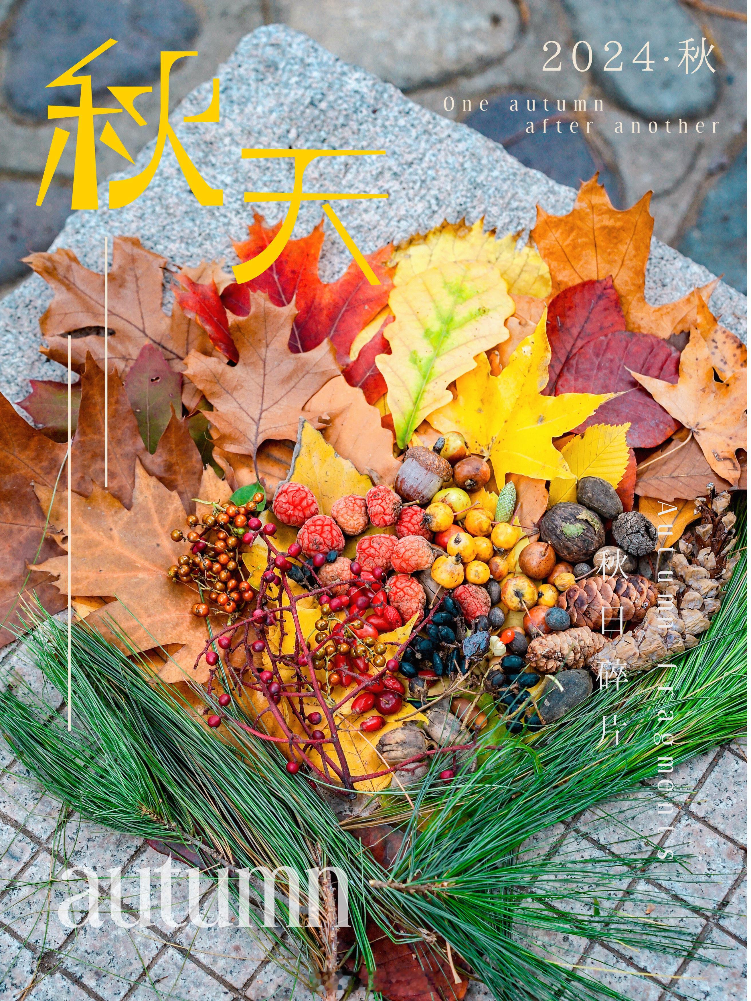#捡秋是在捡什么# 今年的秋天最有仪式感的事情，莫过于“捡秋”。精挑细选的每一片