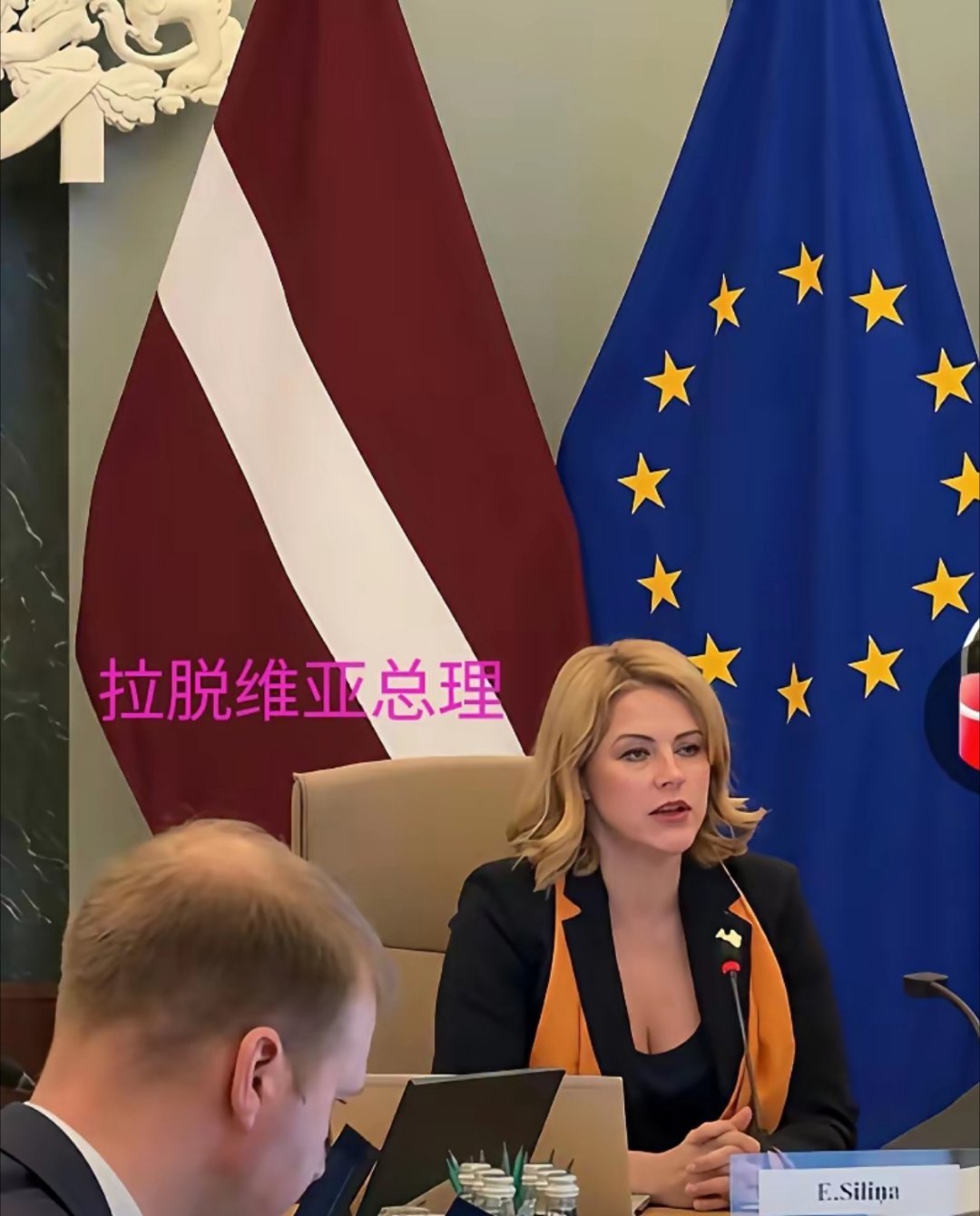 拉脱维亚反对中东停火。 