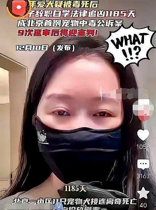 9条狗被毒杀，
投毒者获刑4年，
这事真没

那么简单！
 
张某用氟乙酸钠泡鸡