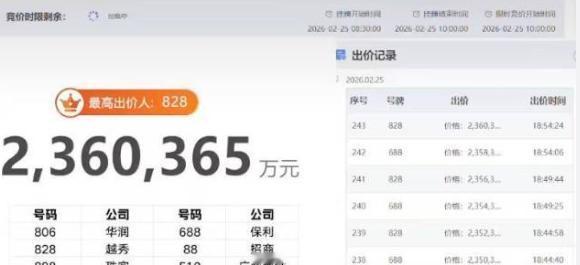 广州马场地块236亿成交，土拍大战围观超10万，页面都崩了
广州开年土拍彻底火出