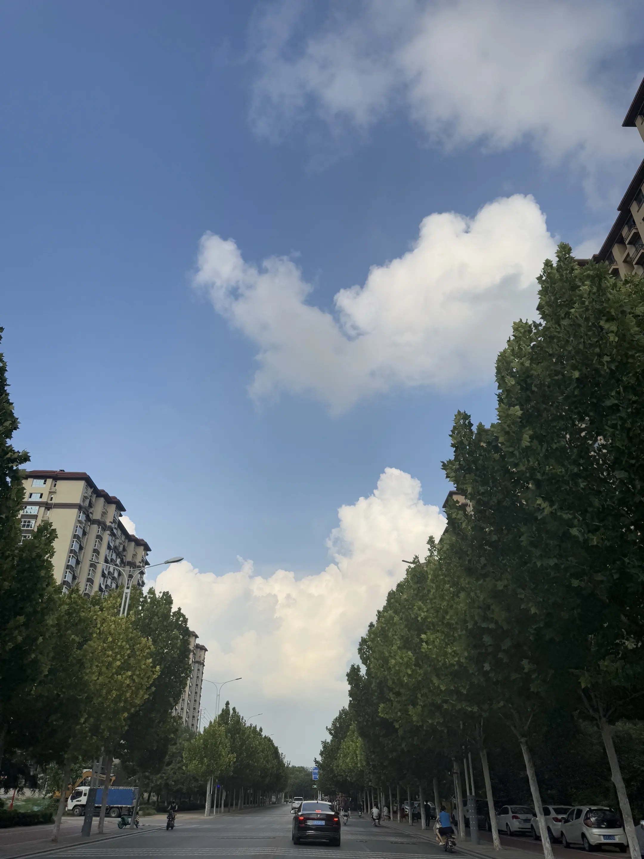 时而枯萎，时而明媚，时而在时光的缱绻里百转千回