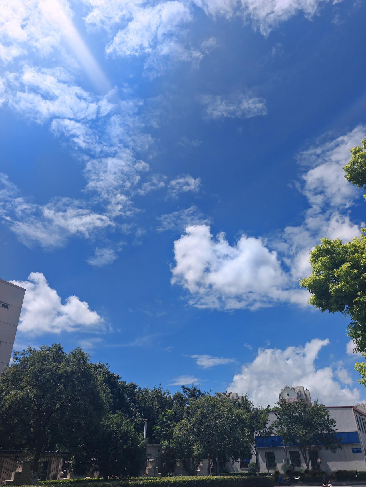 都说一场秋雨一场寒，上海的天气凉快了，晚上开窗睡觉，凉风吹进来是真舒服，不知道秋