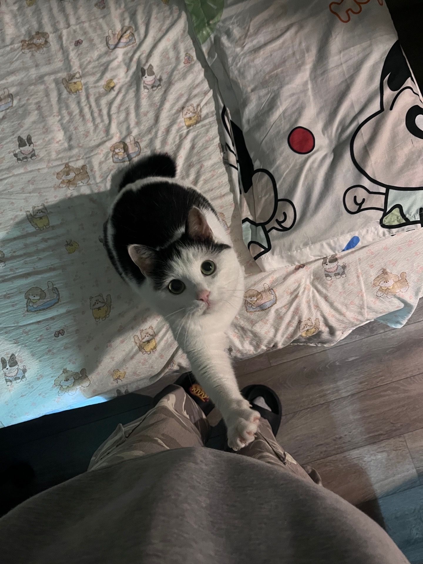人，咪想要一个抱抱 