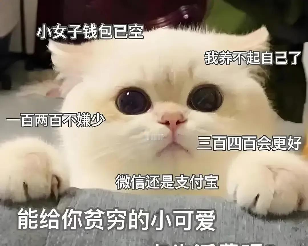 女儿月底说一千五见底，儿子却剩三百，我当晚把两人的账单翻了一遍。
女孩食堂刷四十