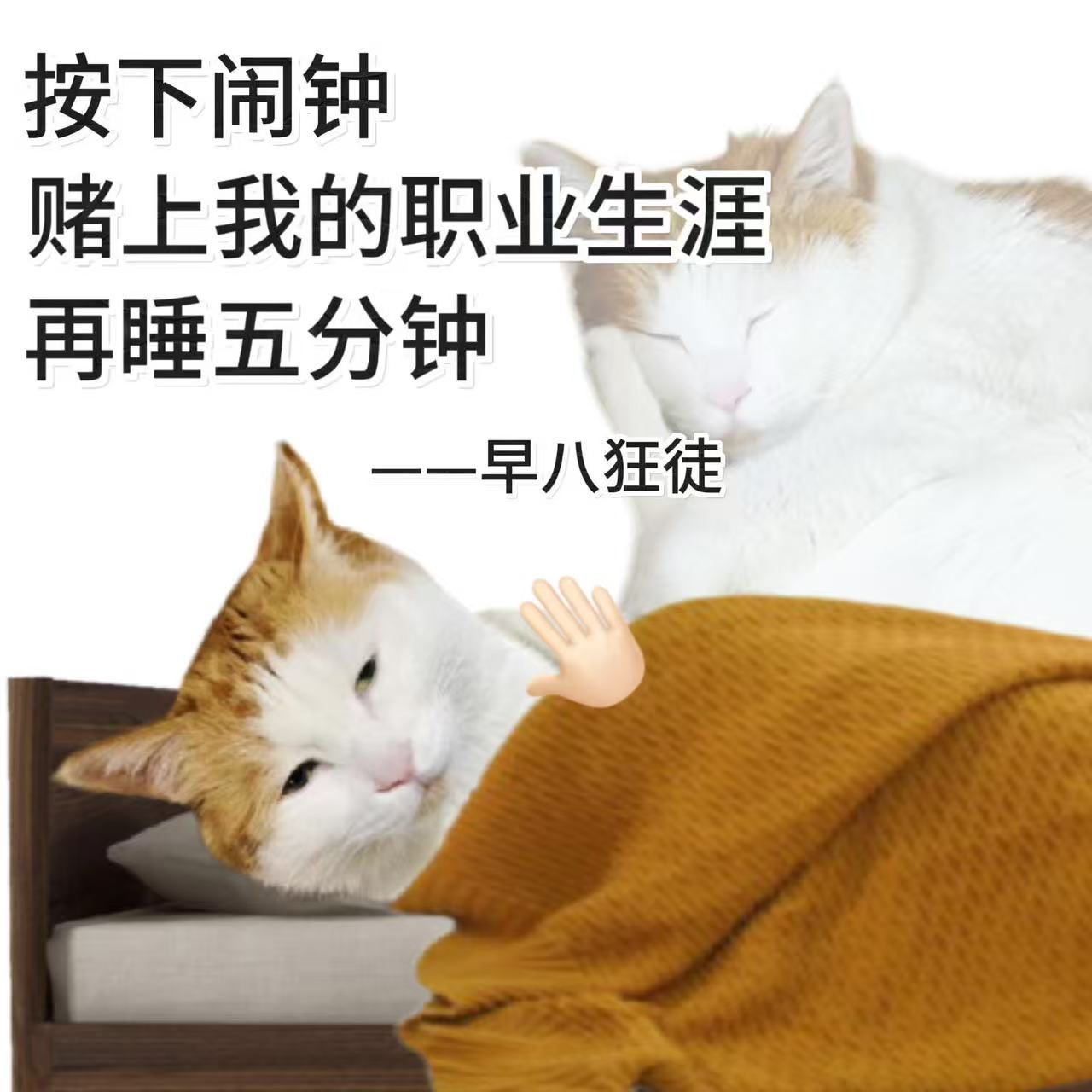 当代年轻人舍不得睡觉belike 
