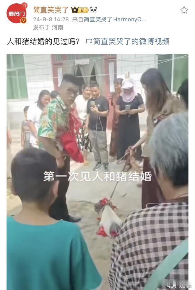 活久见！人和猪结婚的见过吗？河南商丘一男子居然和猪举办婚礼！最近，网上流传着一件