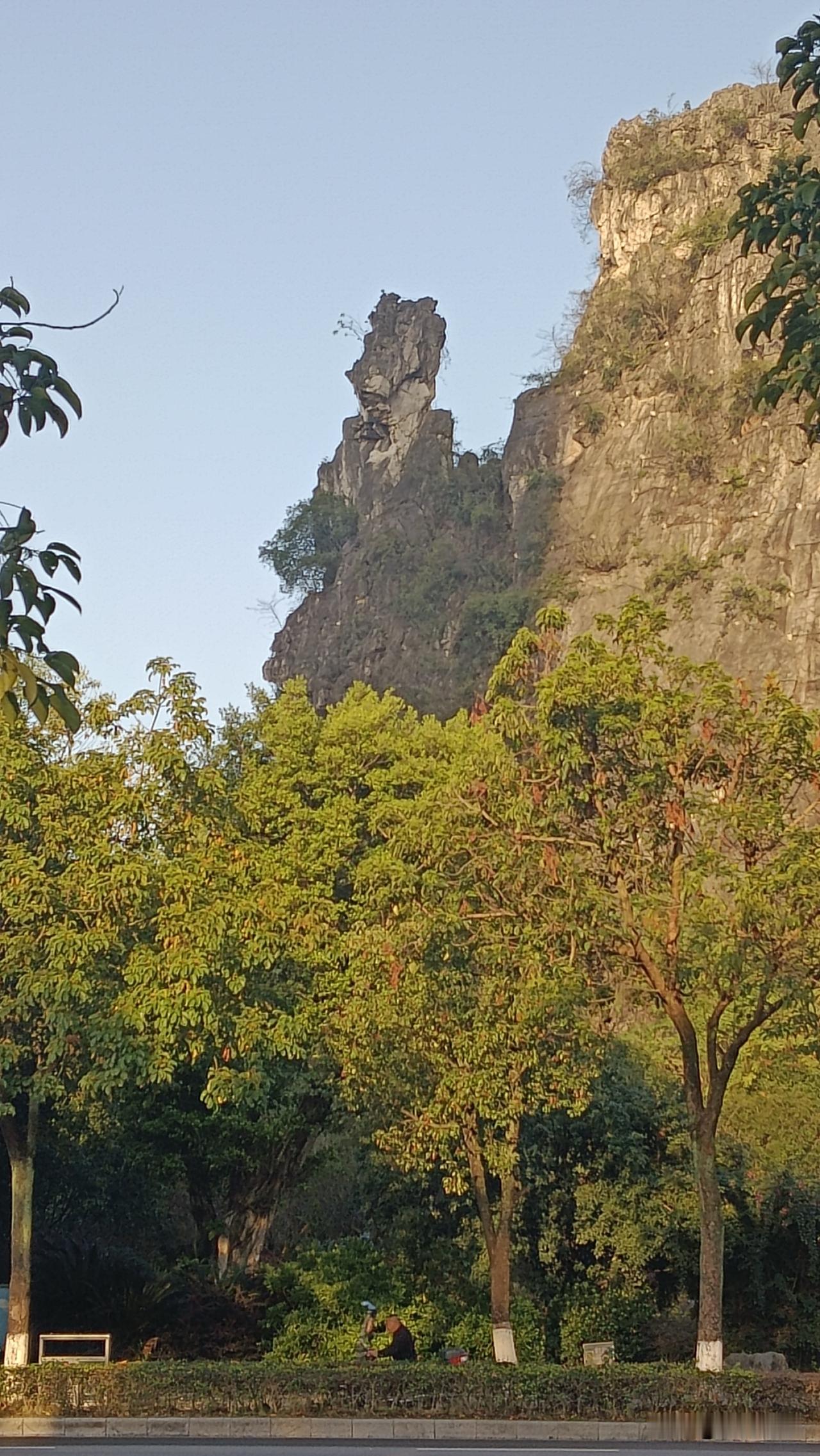我的下联是：今晨薄雾披彩衣。