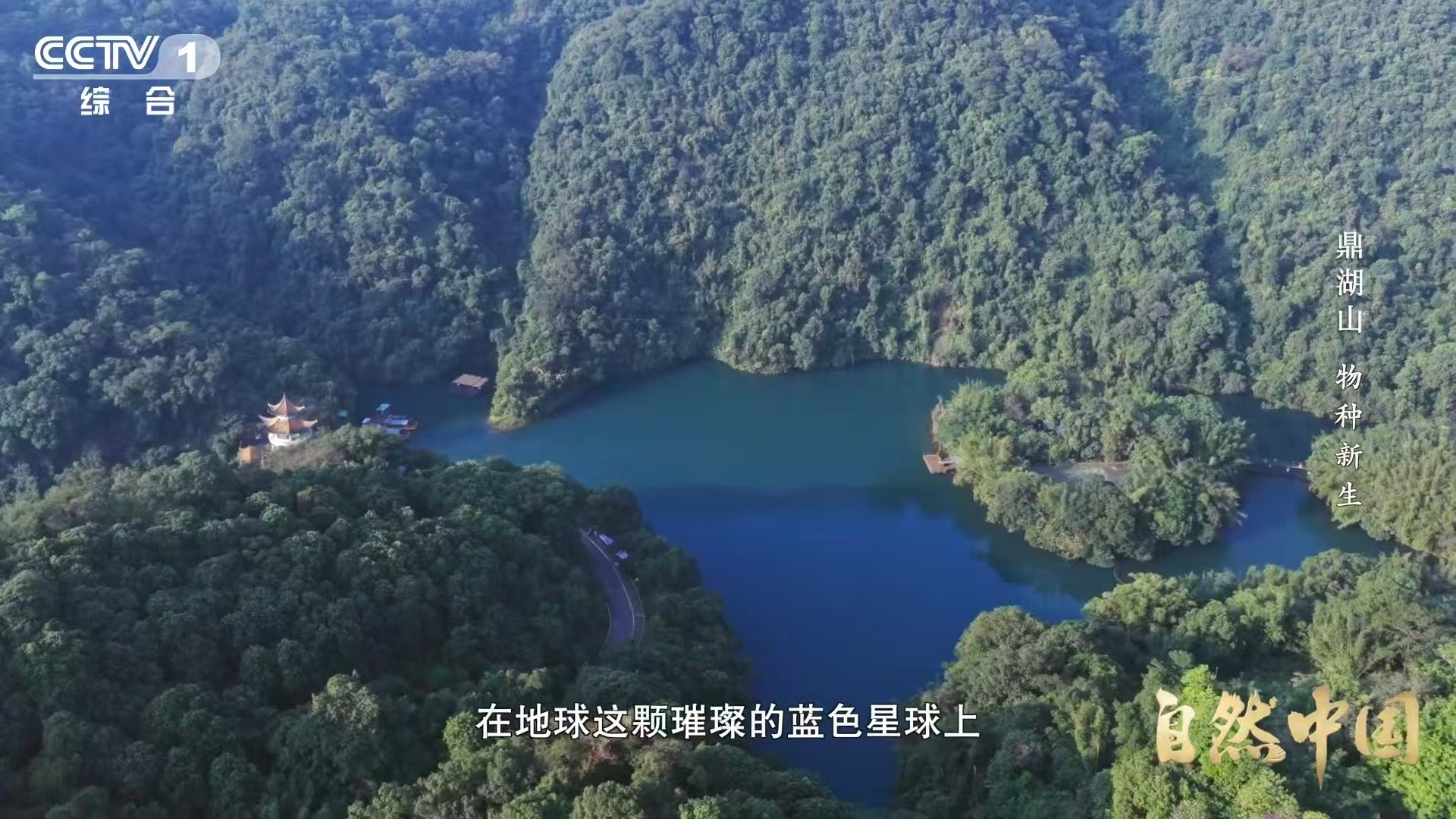 土壤的土腥味从何而来肥沃土壤不只是土，更是矿物质、腐殖质与微生物的共同体。植物残