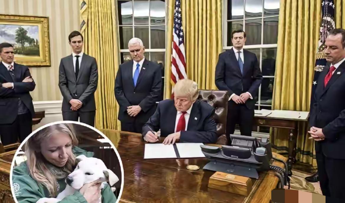 一直以为老美坚决反对吃狗肉是出于啥高尚的爱心，结果被斯奎齐大王的几句话就把遮羞布