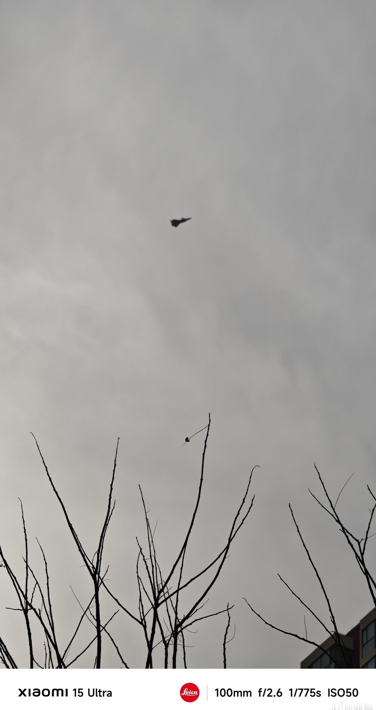 看我拍到了什么飞机 ​​​