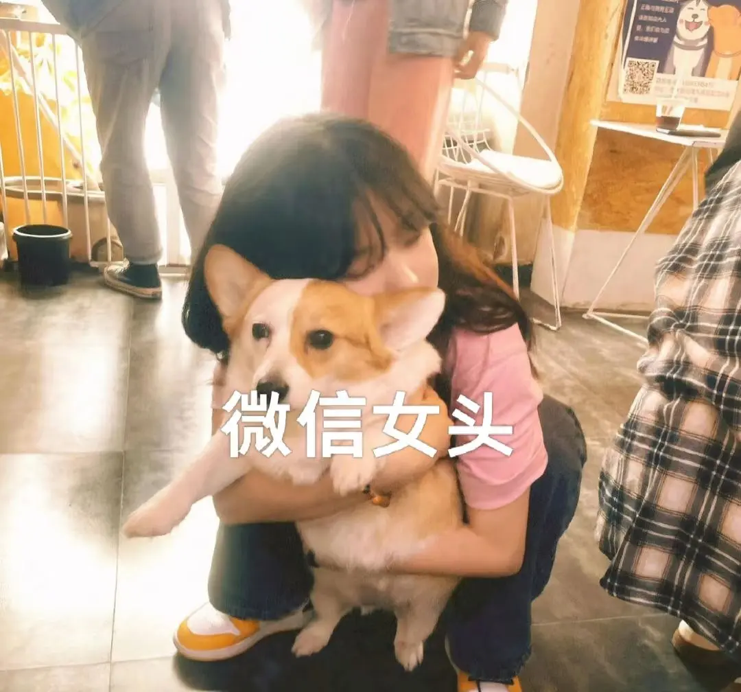 女生头像
