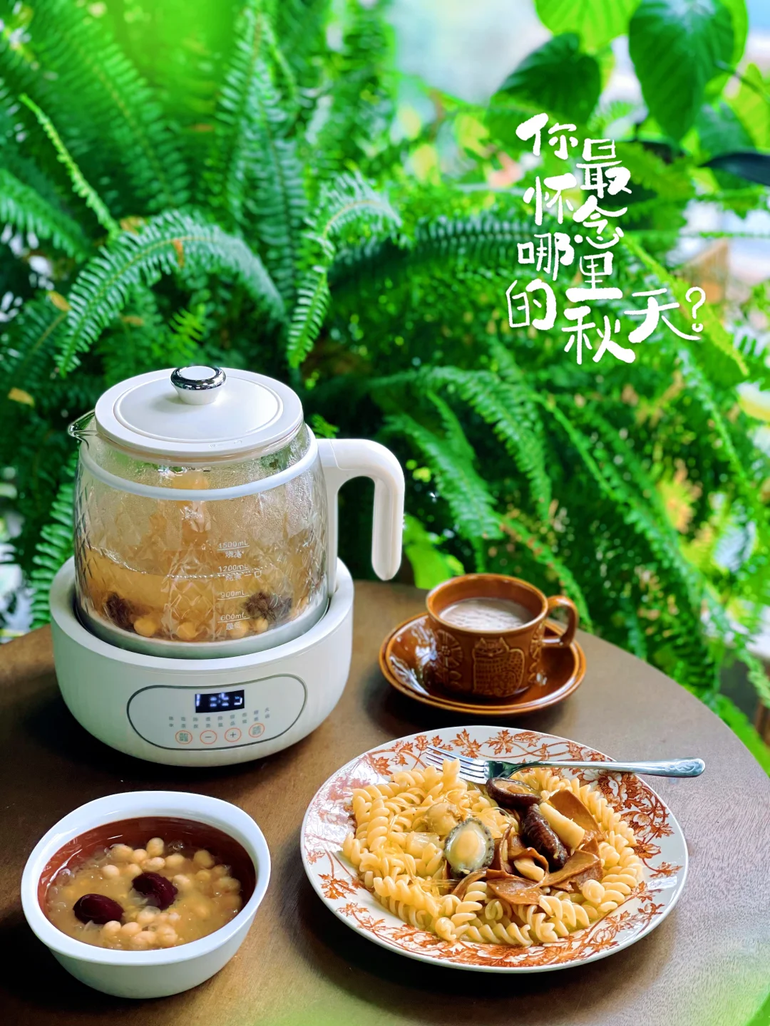 看不厌的阳台小森林，打造起来其实也不难！
