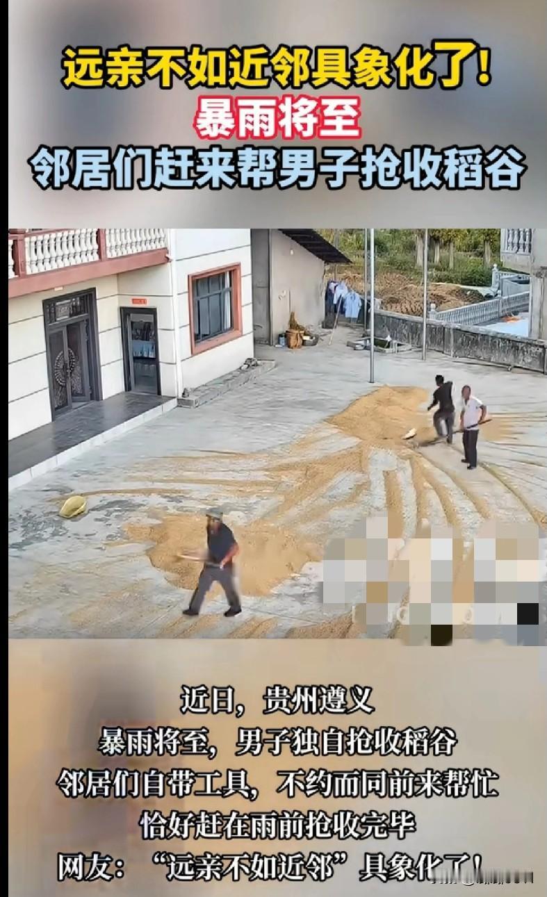 “家人们快来看！这就是‘远亲不如近邻’的神仙场面啊！
 
贵州遵义暴雨将至，一男