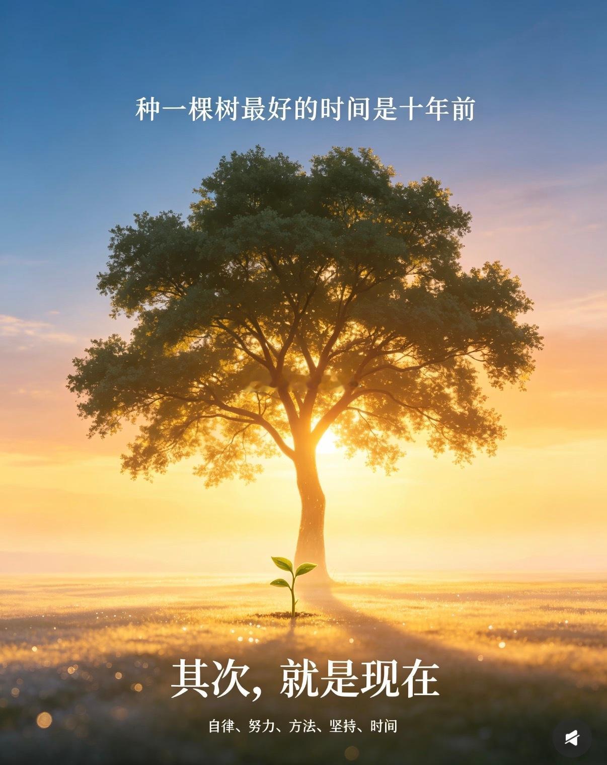新的一周开始了，早安。[心] 黄金[超话] ​​​