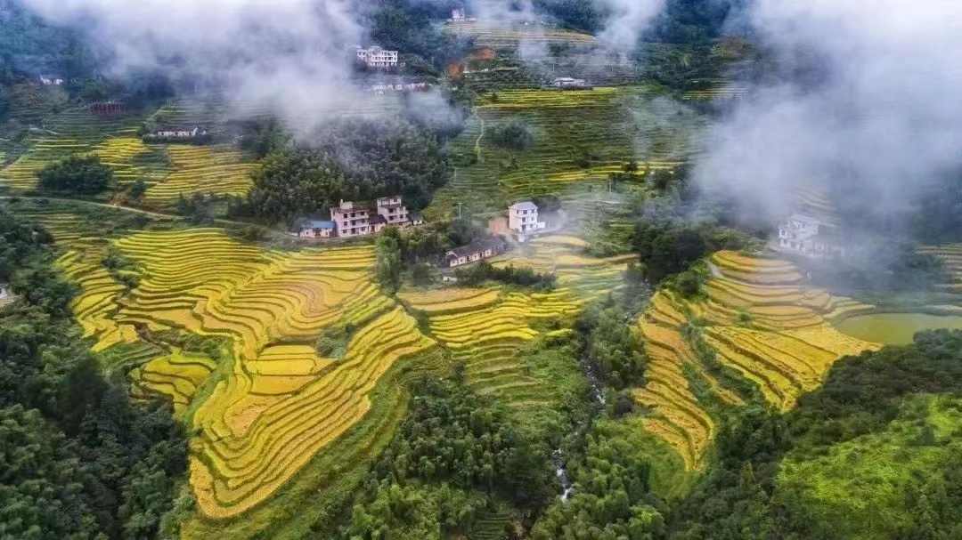 山风说，该往前走啦。走进桃源梯田，映入眼帘的是大片大片的梯田，层层叠叠，美不胜收