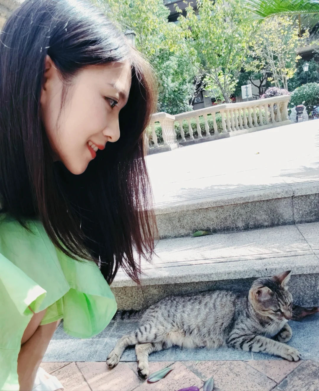 光合作用偶遇一只猫