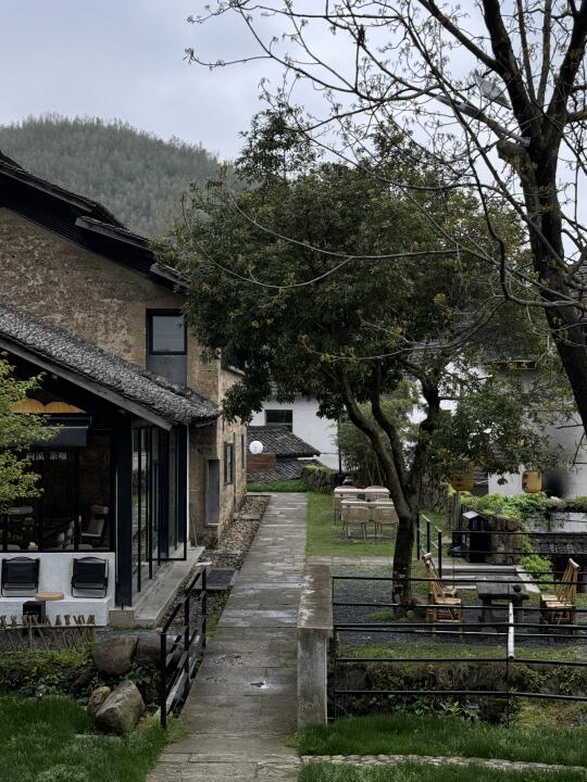 春日三天假期  我选“上春山”⛰️