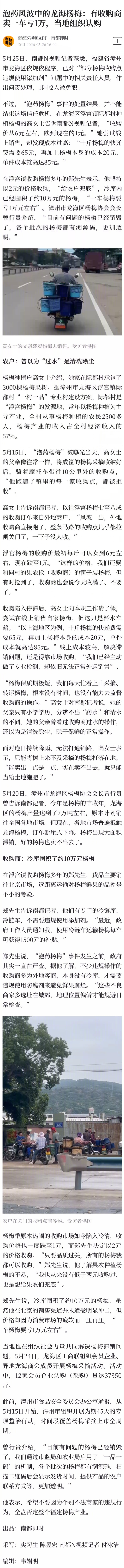 #龙海杨梅收购价6元跌至1元#【泡药风波中的龙海杨梅：有收购商卖一车亏1万，当地