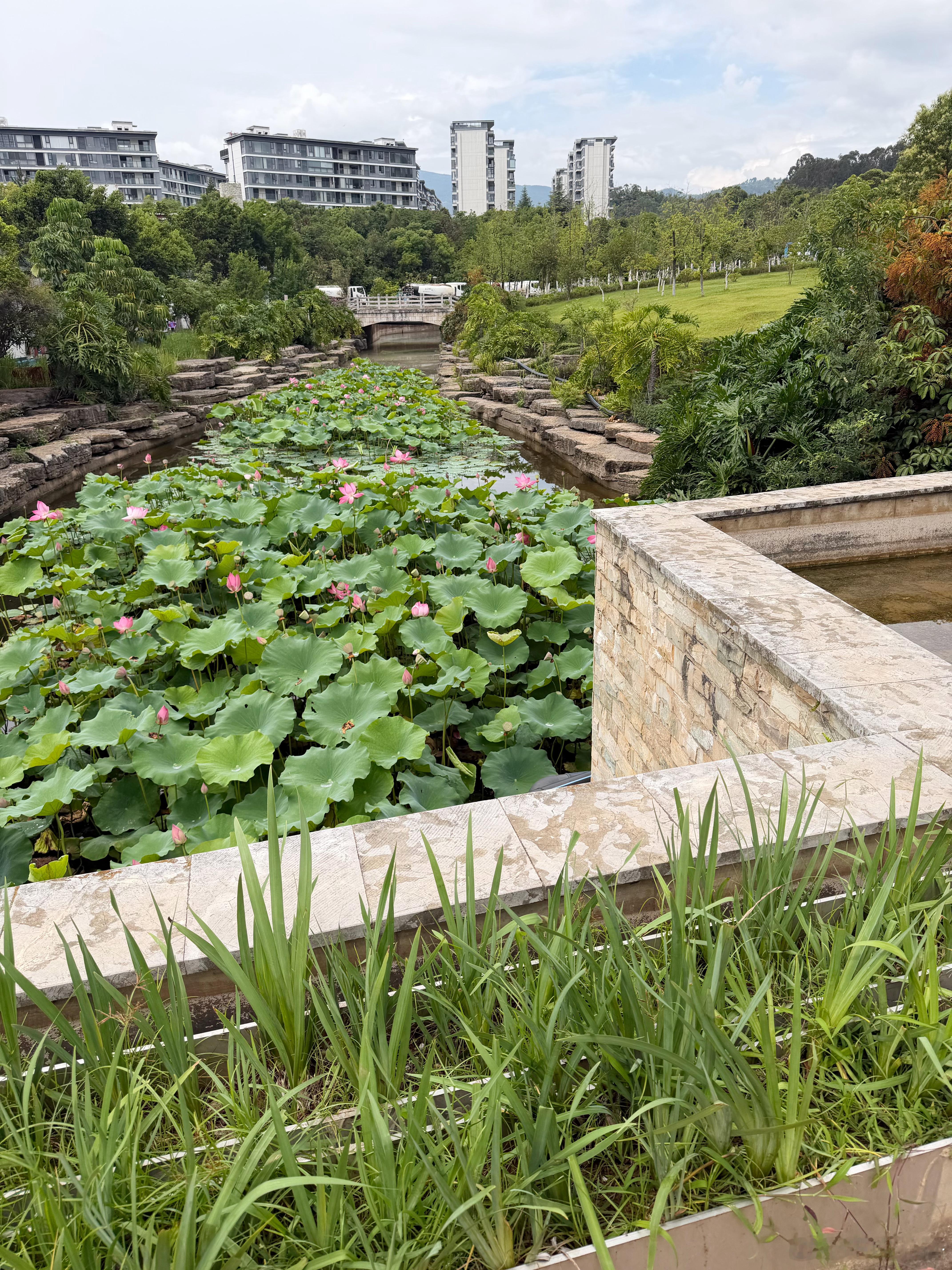 骑行随便停路边的景色，玉溪是好地方，我严选的小城市。 云南