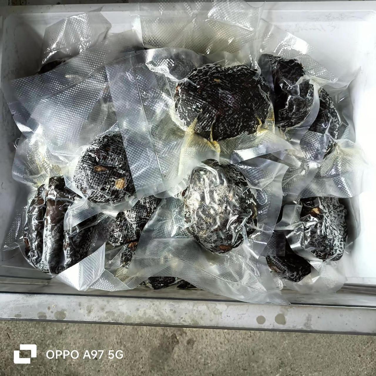 我妈妈还有33个猪血丸子，我要找她要一点带去婆家吃