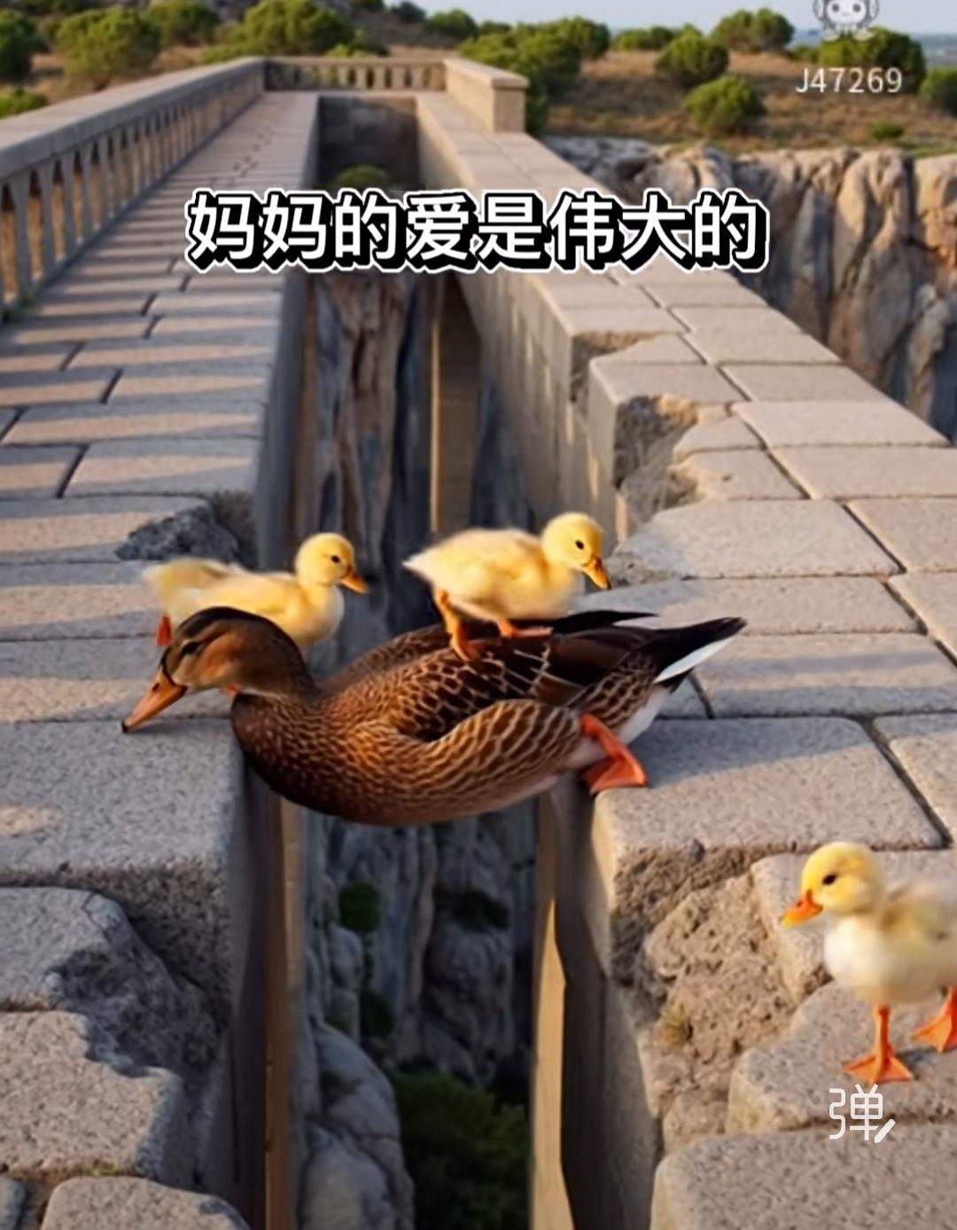 昨天，在马尼拉参加东盟外长会的王主任，应约与菲女外长拉扎罗会晤，王主任对菲方近日