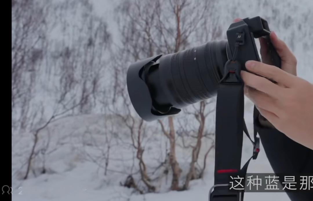 还没八点呢就2000+人在线观看 