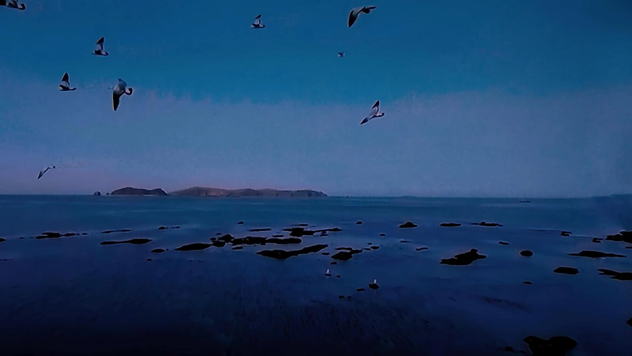 天高任鸟飞· 海阔凭目游