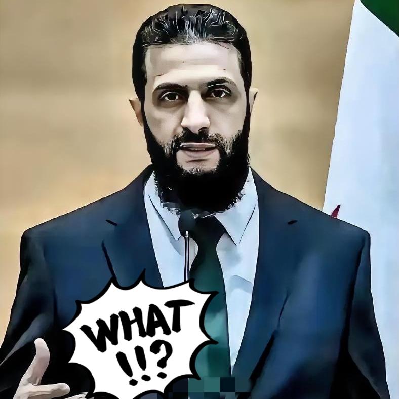 叙利亚传来大新闻！
2026年4月17日，新华社在大马士革发布一条重磅消息，震惊