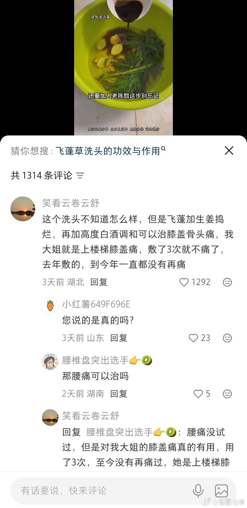 自伯之东，首如飞蓬。岂无膏沐？谁适为容！其雨其雨，杲杲出日。愿言思伯，甘心首疾。