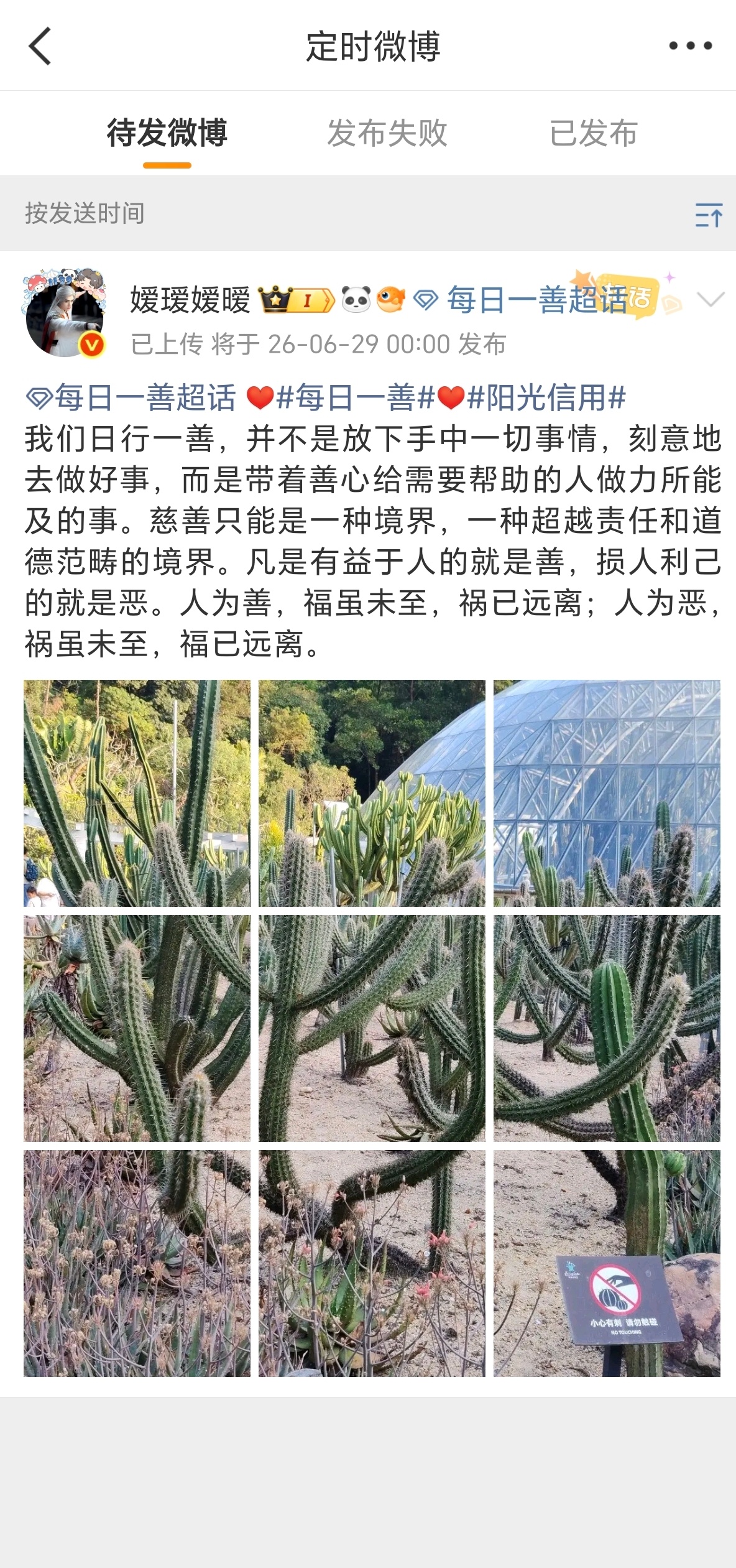 微博崩了搞的我昨天设的定时都没发送成功，都过了一天了，大眼你还没弄好吗