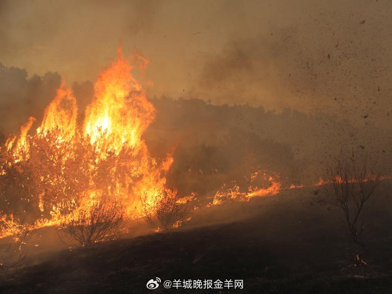 #晚安# 初六，六六大顺。送穷迎福，万事顺遂。晚安，愿明天的风，都是顺风。 