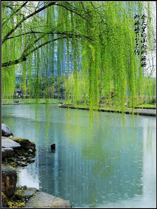 好怀念从前在绿油油的麦田里，拿着柳枝，小伙伴们汗流浃背，你追我赶扑捉虫子，喂鸡、