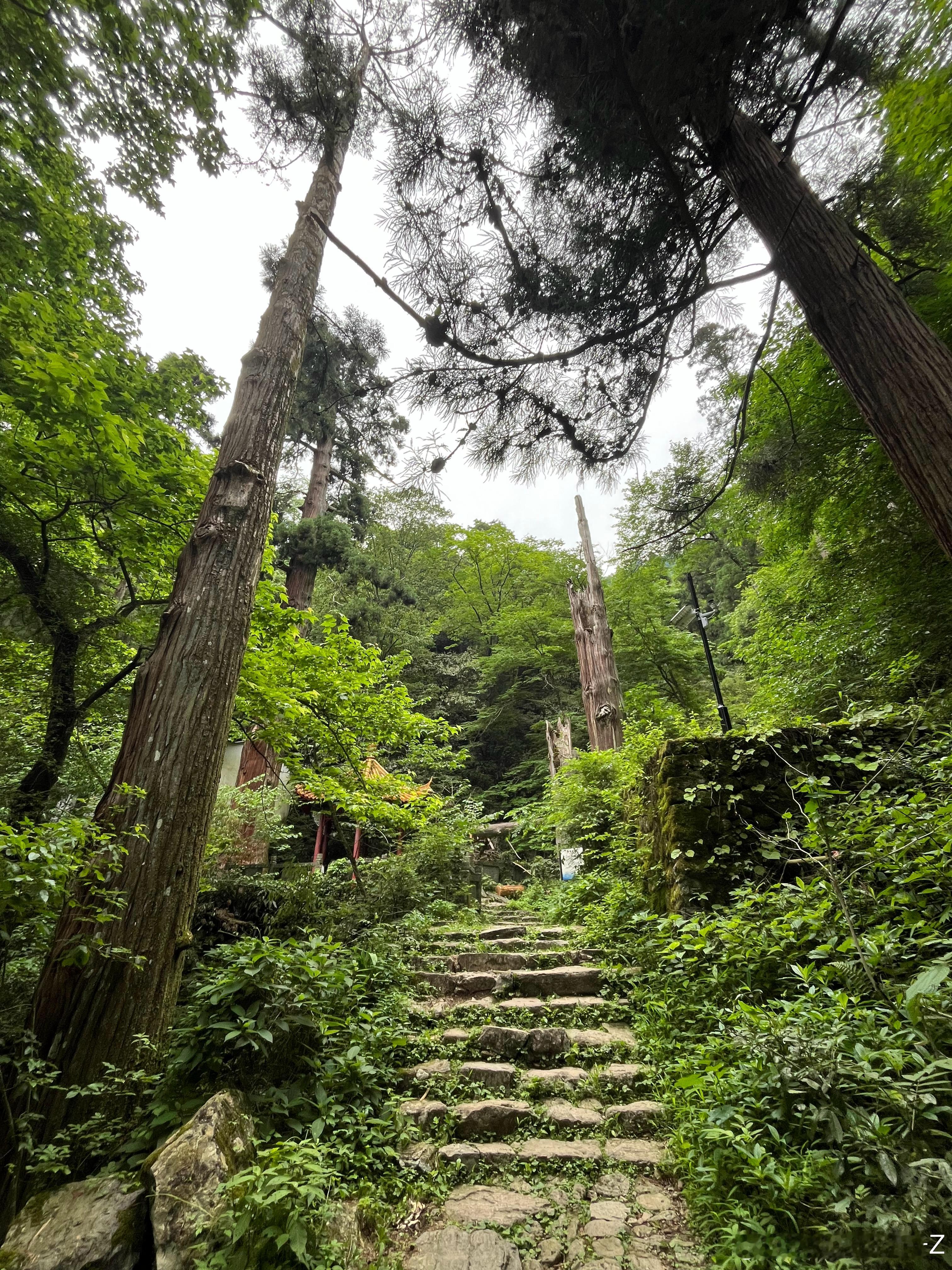📕上说天目山适合徒步新手、上班族友好地感觉完全是帖主自己被坑了迫不及待要坑下一