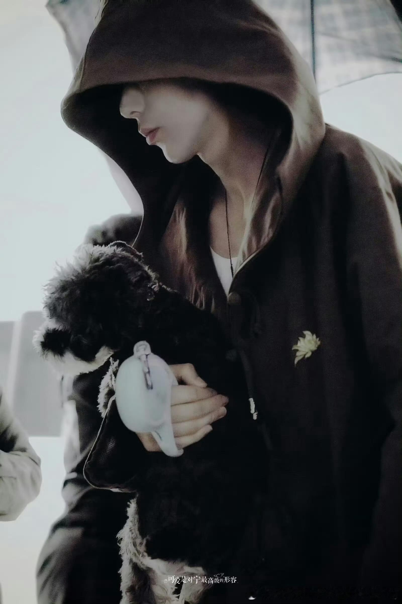 摩登兄弟脖子我想啃一口