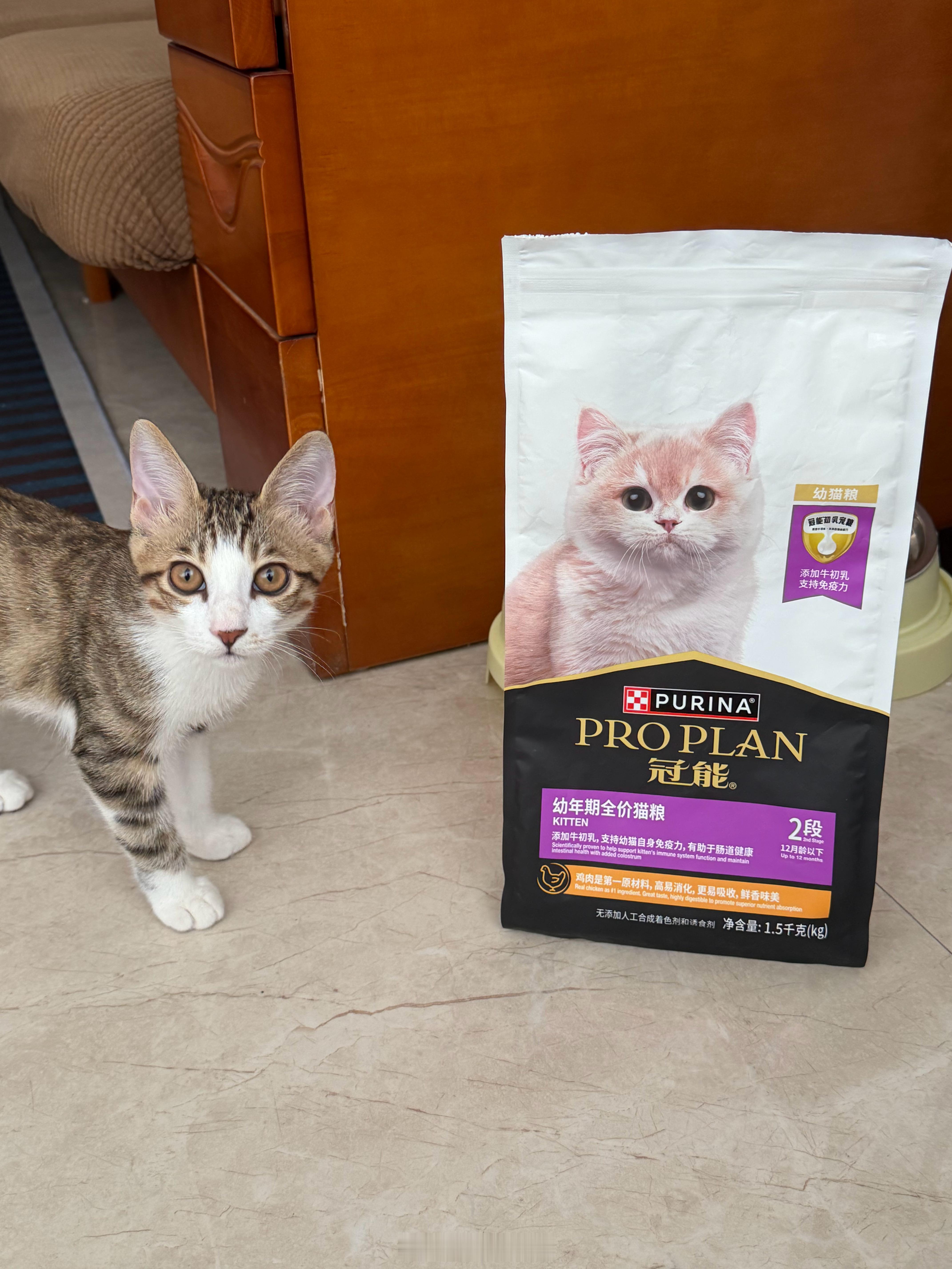 我们叫叫又吃完一整袋猫粮了