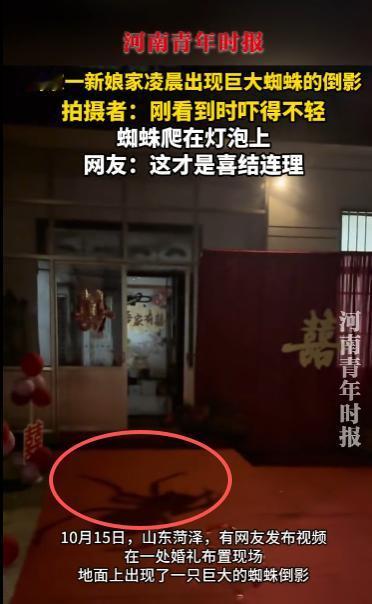 10月15日，山东菏泽，一新娘家凌晨3点竟然出现巨大的蜘蛛倒影，还在不停地爬动，